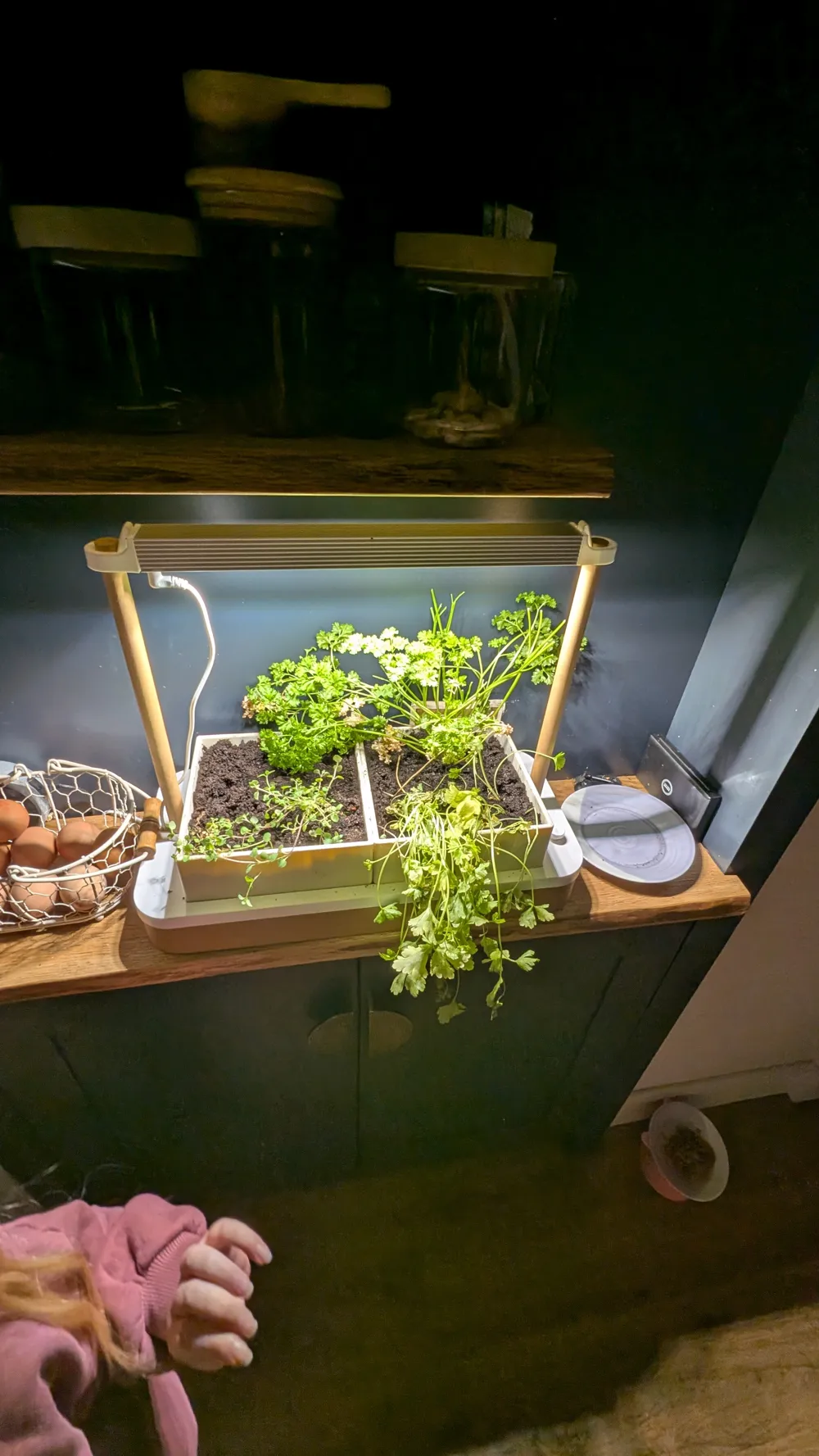 AUK Mini Full sized planter boxes. - Free 3D Print Model - MakerWorld