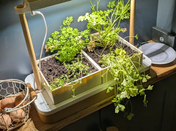 https://makerworld.bblmw.com/makerworld/model/US6603e4e4d32e69/design/2025-11-07_9b30815323347.jpg