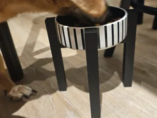 Pet raised bowl