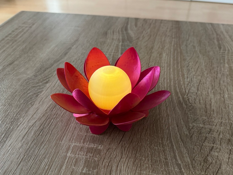 Leuchtende Lotusblüte