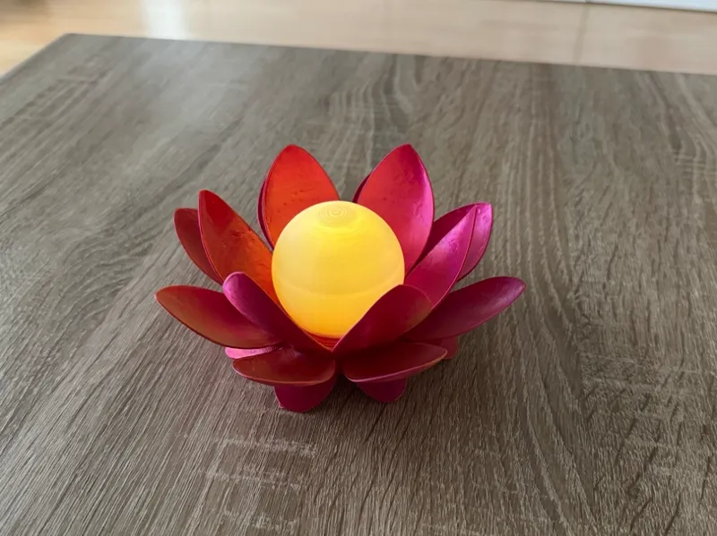 Leuchtende Lotusblüte