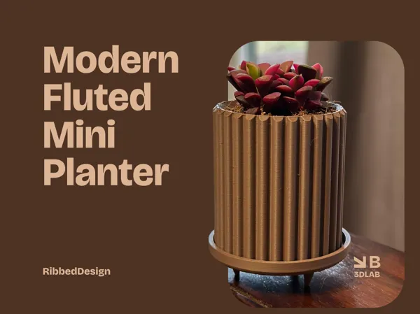 https://makerworld.bblmw.com/makerworld/model/US66111b3c3b604b/design/e48fac4934401d1c.png