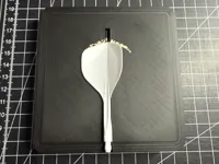 0.2mm layer, 2 walls, 10% infill