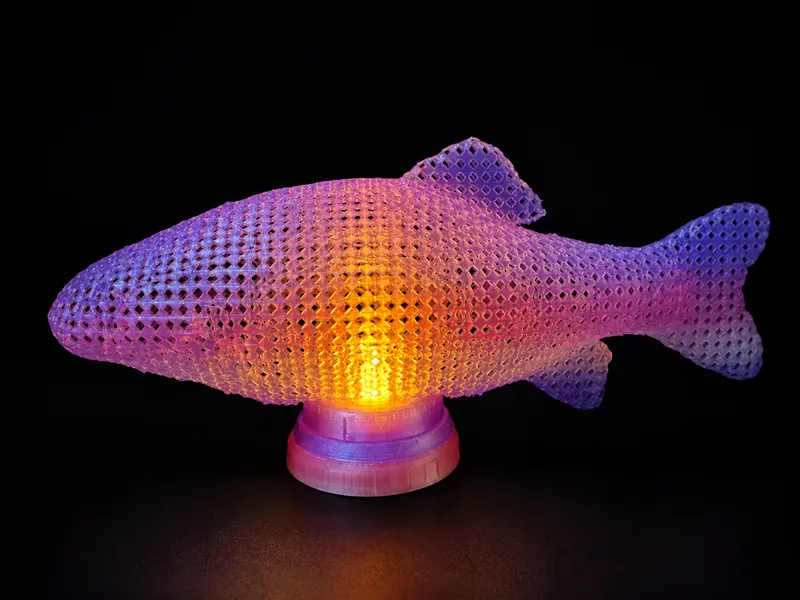 Fish candle light