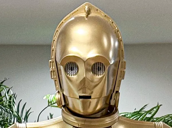 https://makerworld.bblmw.com/makerworld/model/US6619cabd606465/design/2024-11-21_c354843579259.png