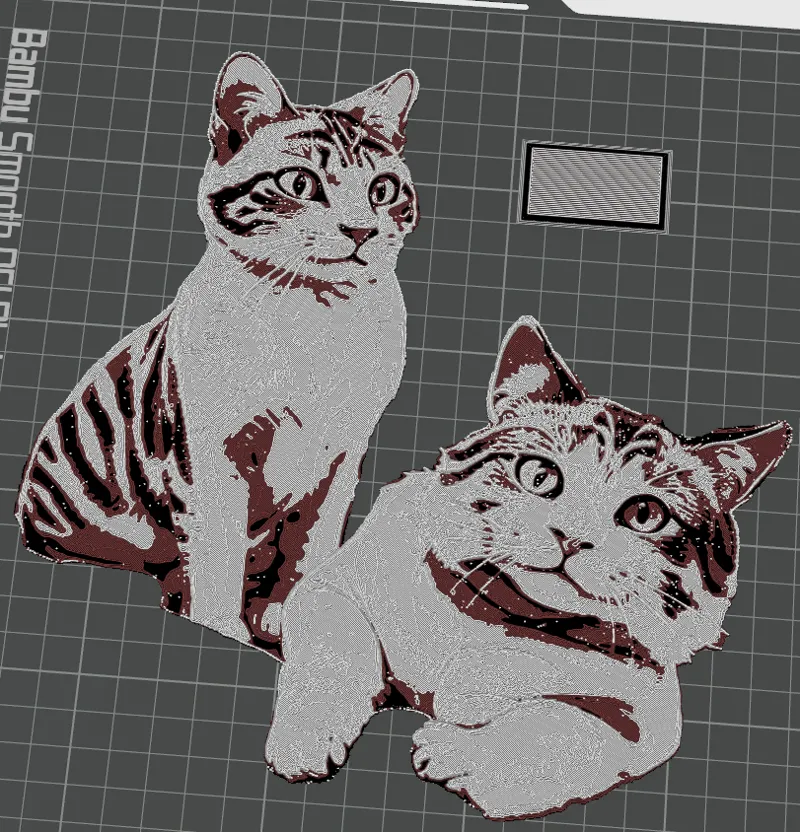 2 cat