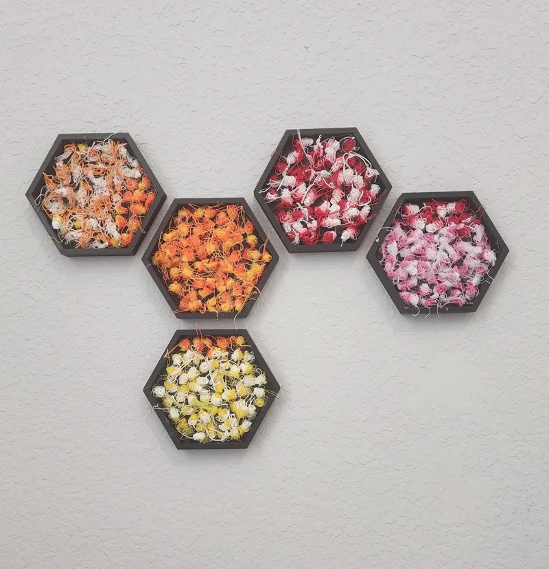 "Poop-a-gons" Hexagon/Honeycomb Wall Art