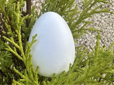 Egg