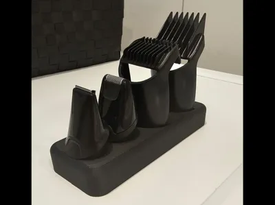 Organizer for Braun beard trimmers
