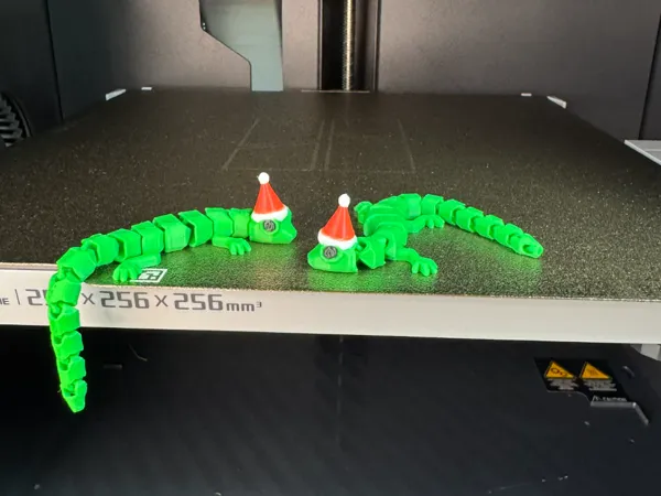 https://makerworld.bblmw.com/makerworld/model/US66351a1faad334/design/2025-12-12_7b51125dd00c58.jpeg