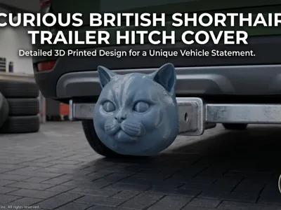 Curious British Shorthair Cat Hitch Cover – TowCap