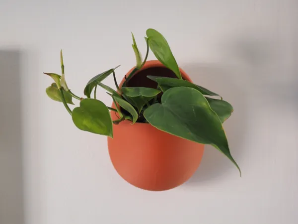 https://makerworld.bblmw.com/makerworld/model/US6638a98005f794/design/2025-03-14_6c9bfe38674658.jpg