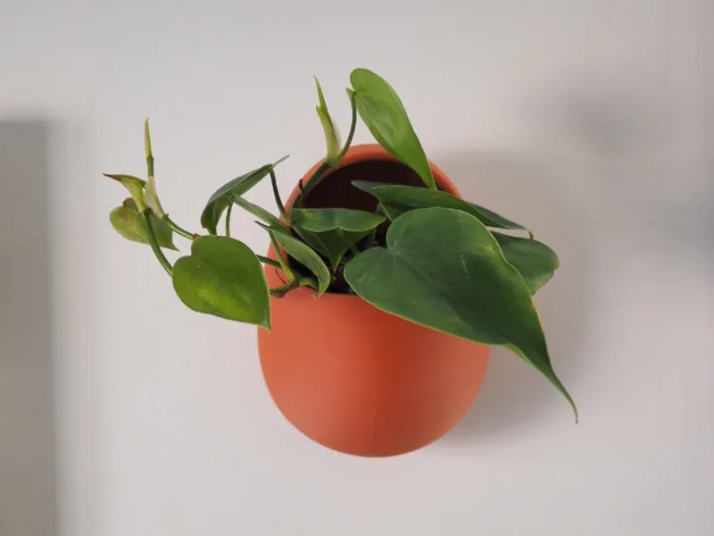 Vintage Egg Shaped Wall Planter  Hanging Indoor
