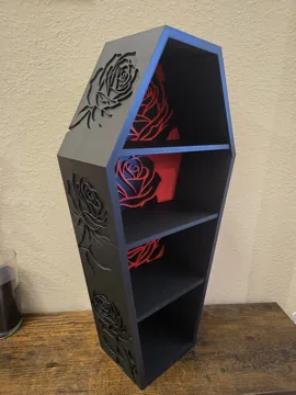 Caja o estuche: Rose Coffin Display Case — vista de referencia 4