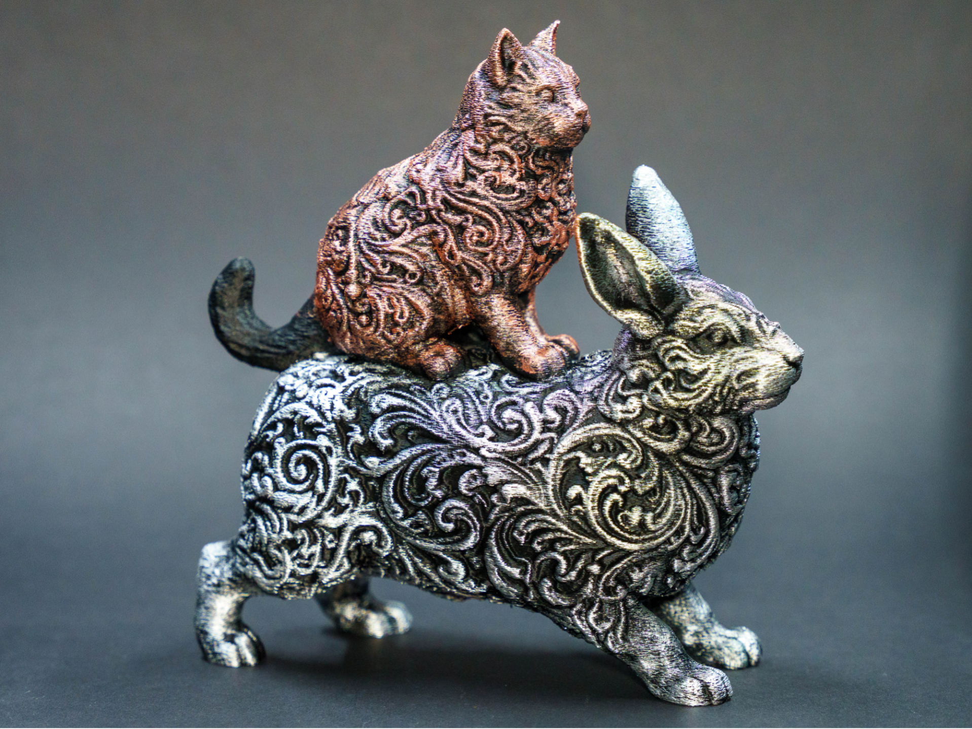 Cat riding on rabbit bunny