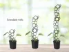 Extendable circle trellis