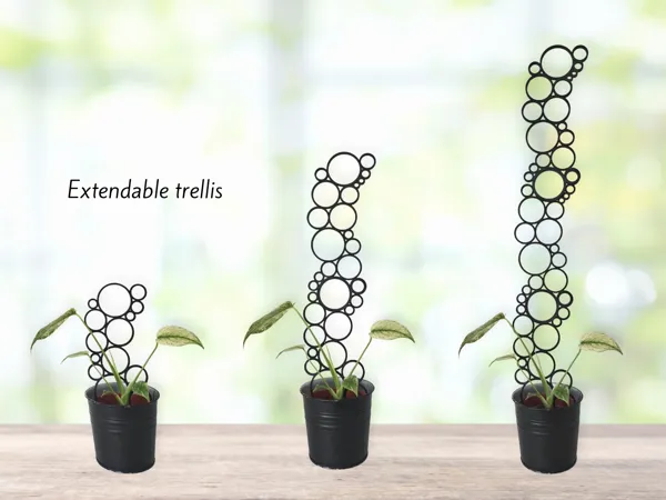 https://makerworld.bblmw.com/makerworld/model/US664a8920b0ff13/design/2025-06-19_e0eccc1e70e8e8.jpg