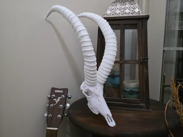 https://makerworld.bblmw.com/makerworld/model/US66526591cc659e/design/2025-05-04_3b8689548cc408.jpg