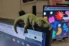 adapted model - 0.2mm layer, 2 walls, 15% infill