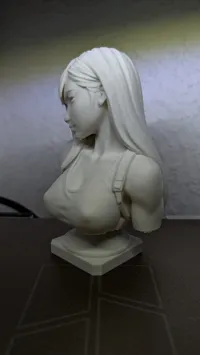 0.16mm layer, 2 walls, 4% infill
