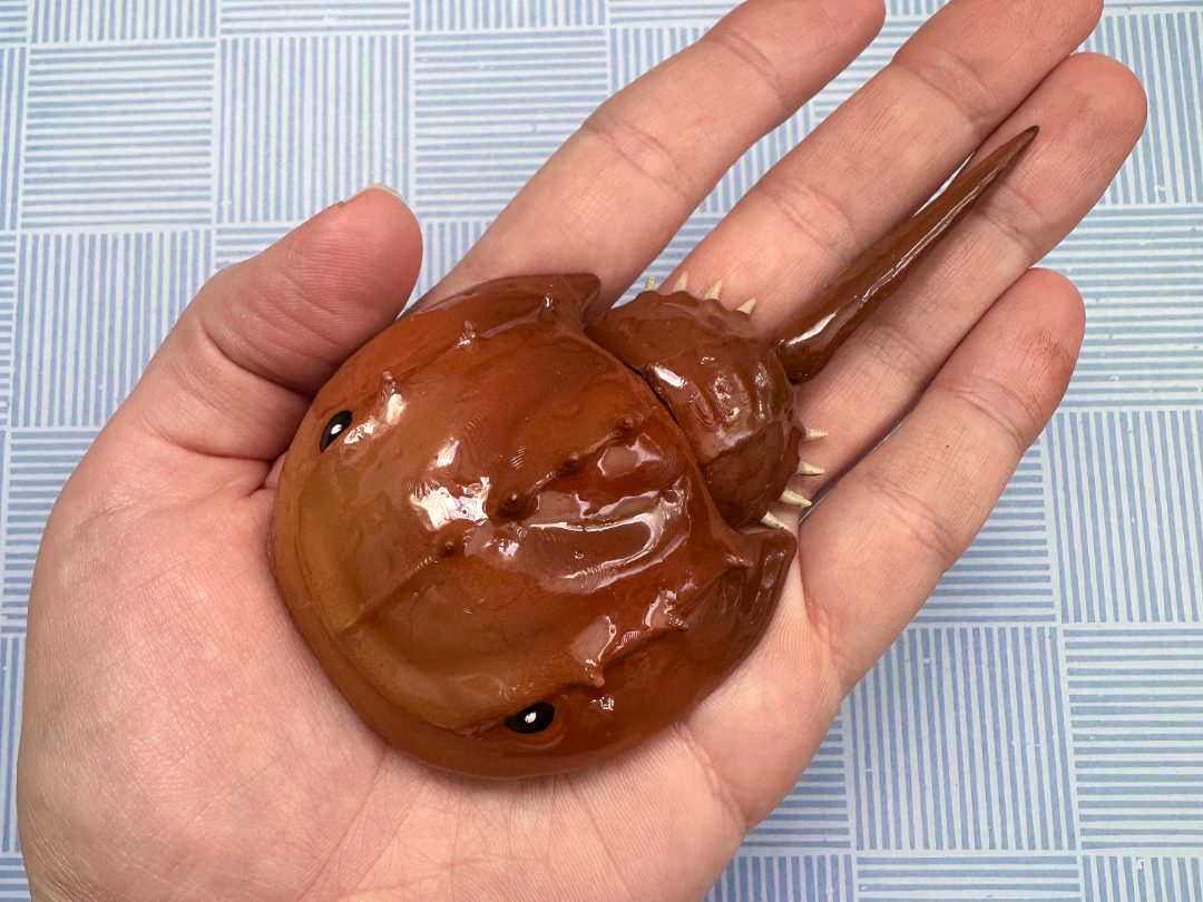 Horseshoe Crab Flexi