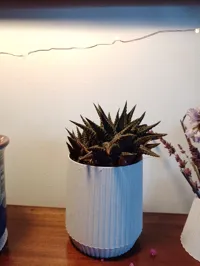 Mini Planter