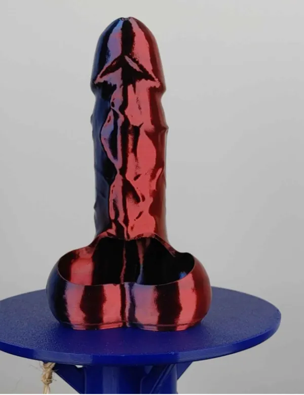 Duo de pots de fleurs anatomiques coquins