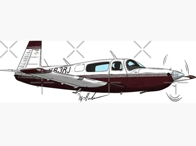 mooney M20 light box