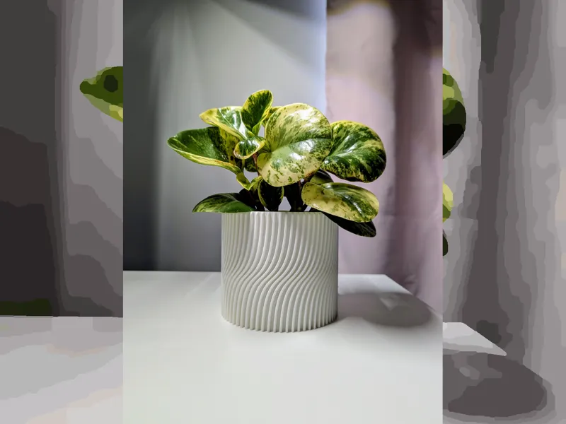 Wavy Surface Plant Pot