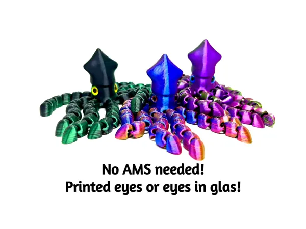 https://makerworld.bblmw.com/makerworld/model/US6664acc746a472/design/2025-12-23_179832b545916.jpg