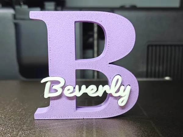 https://makerworld.bblmw.com/makerworld/model/US6665e5233ddc97/design/eb1e34642528f952.jpeg