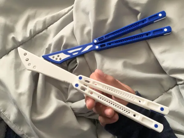 https://makerworld.bblmw.com/makerworld/model/US6667fc26a407db/design/2025-12-22_f45982078fc768.jpg