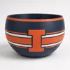 Big 10 - Illinois