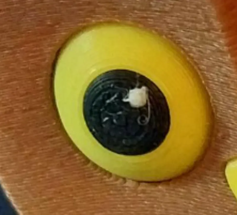 eye inserts for fluffy birds owl 