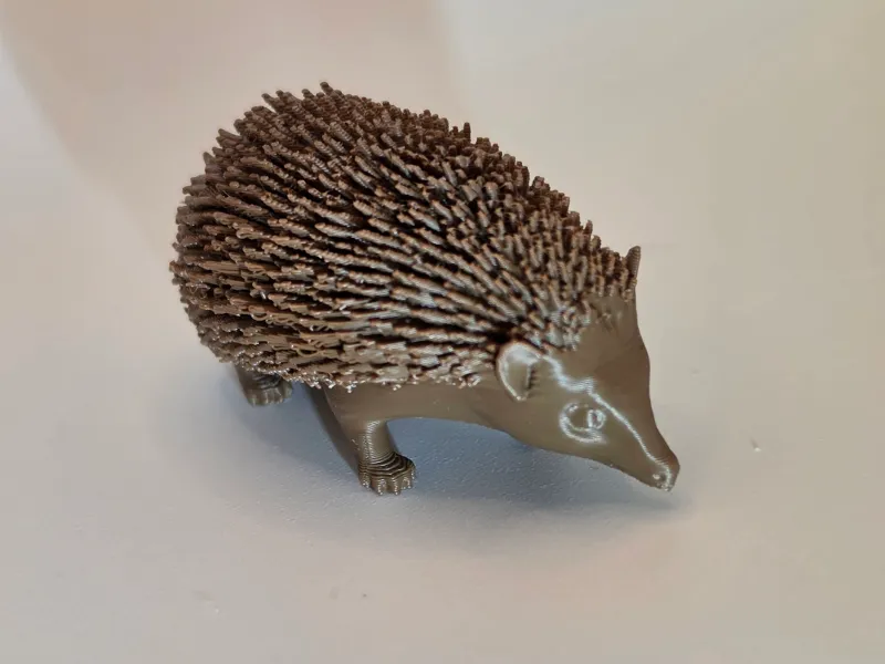 Süsser Igel - Tiere aus aller Welt