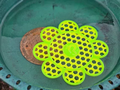 Sunflower Pollinator Landing Pad