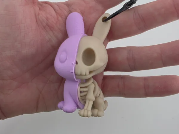 https://makerworld.bblmw.com/makerworld/model/US66798f93776c5f/design/2025-06-25_a855033e6786b.jpg