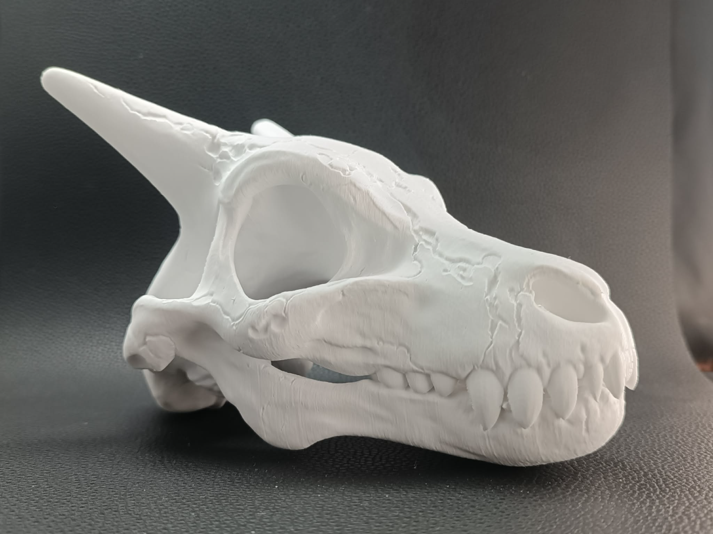 Pokemon Charizard Fossil Skull – Ancient Dragon