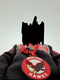 Non flat logo