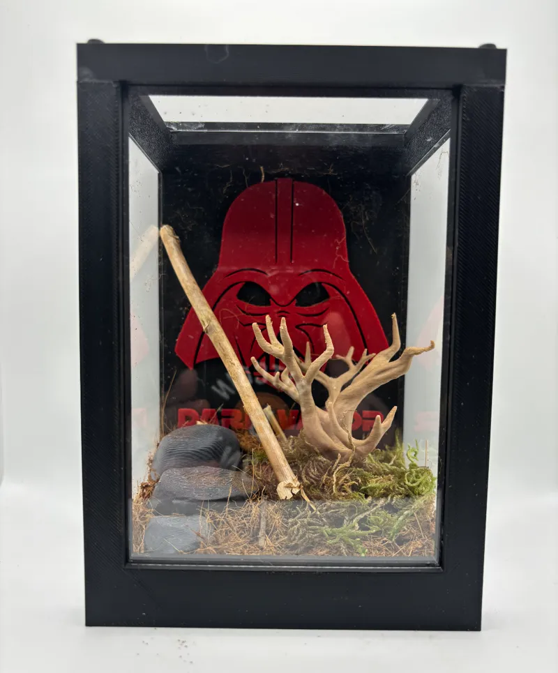 Terrarium Darth Vader