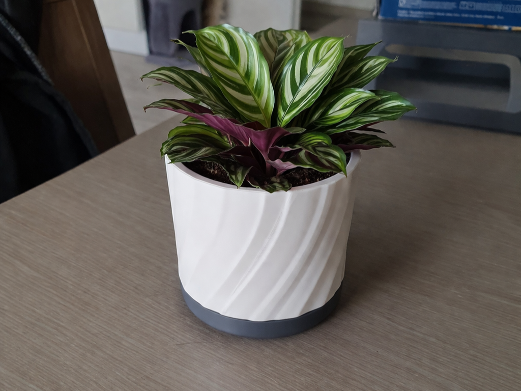 Small Minimal Two-Tone Plant Pot