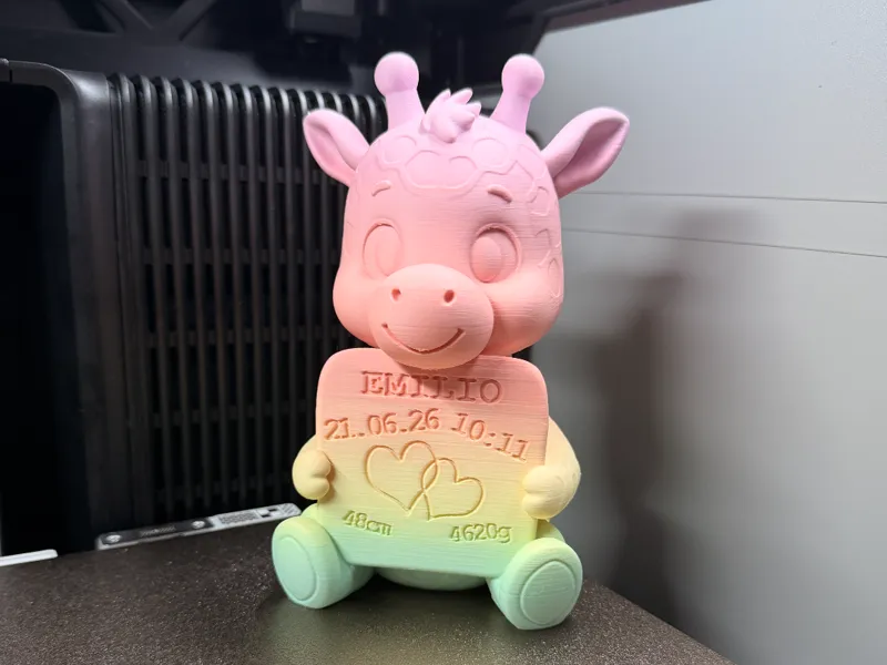 Baby Giraffe Birth Keepsake