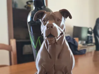 Pittbull statua o portavino