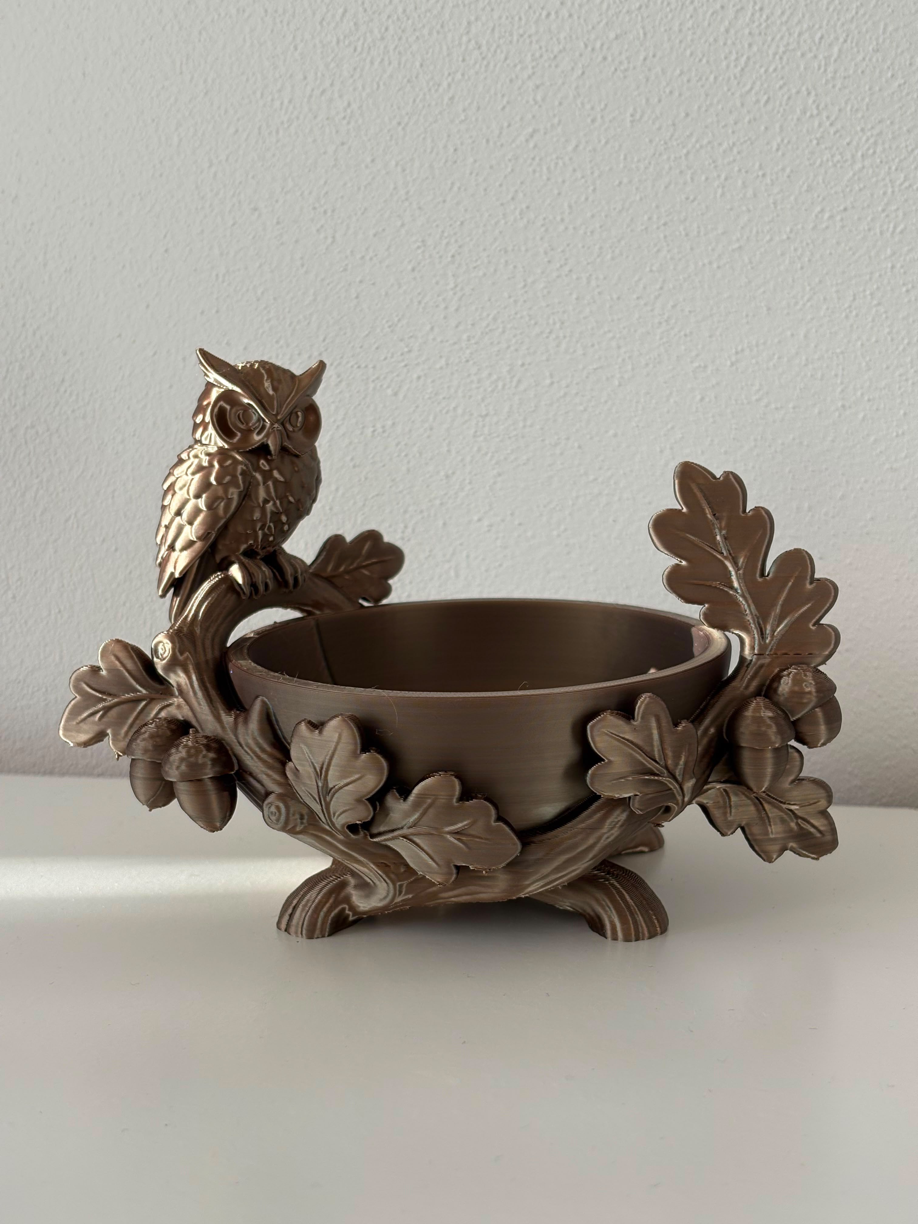 Owl Bowl / Woodland Owl Dish - 1