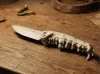 v1
