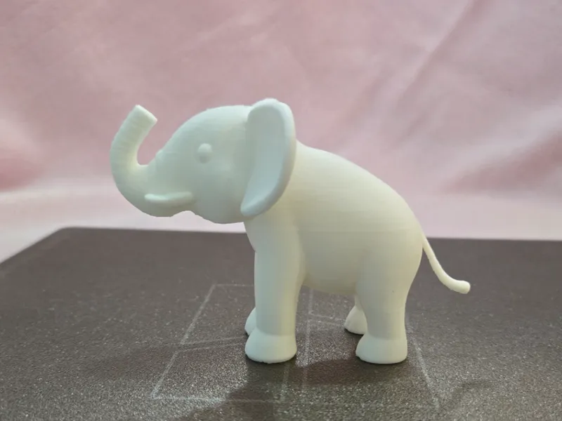 Cute Baby Elephant