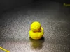 Single color print, no supports, 0.12mm layer height