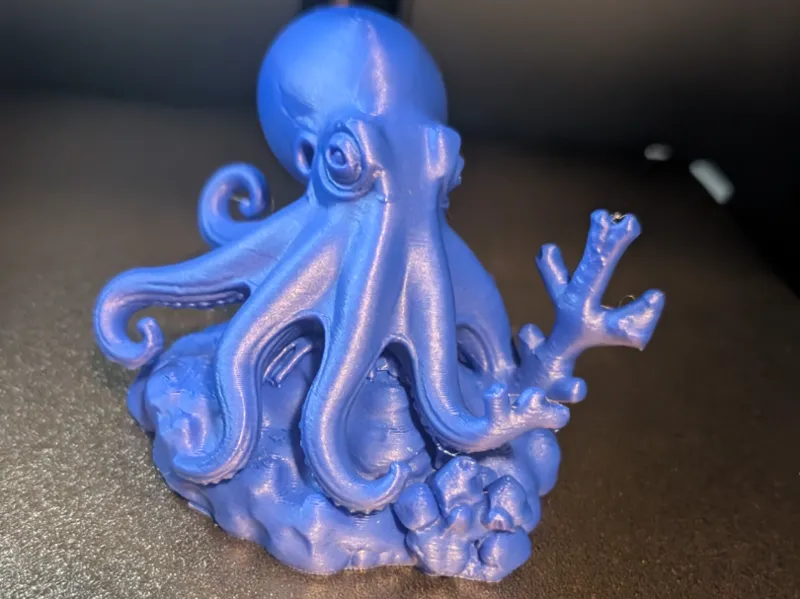 chill octopus