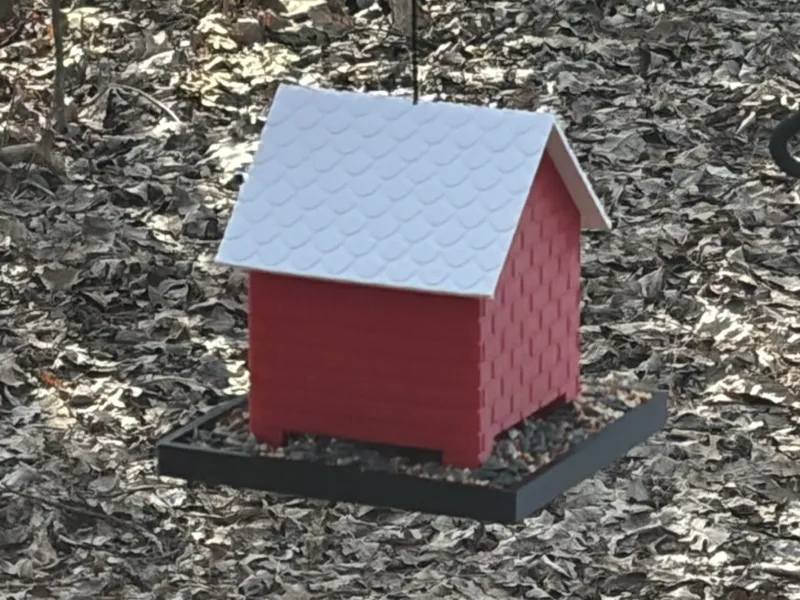 Bird Feeder - Easy Assembly - No Glue!