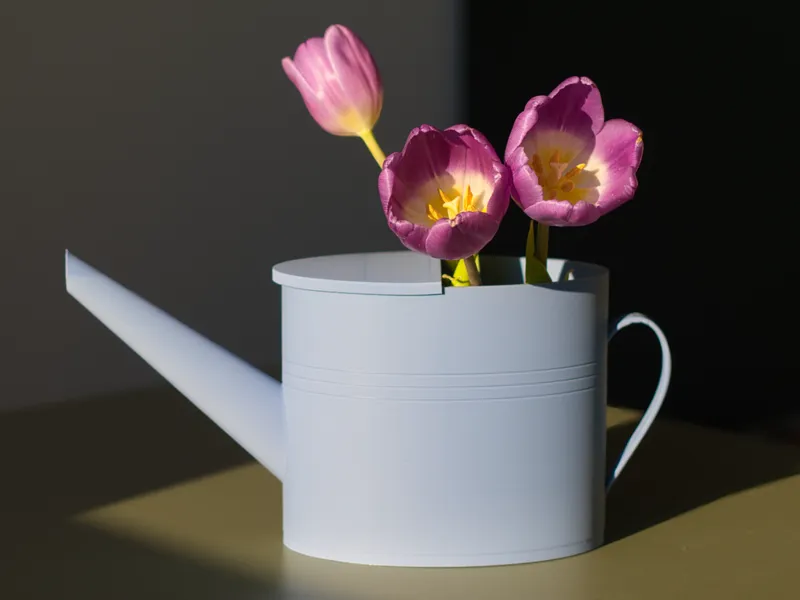 Watering Can Vase